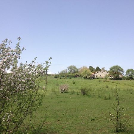 Les Gites D'Eliane Laragne Bagian luar foto