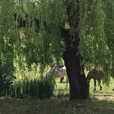 Les Gites D'Eliane Laragne Bagian luar foto