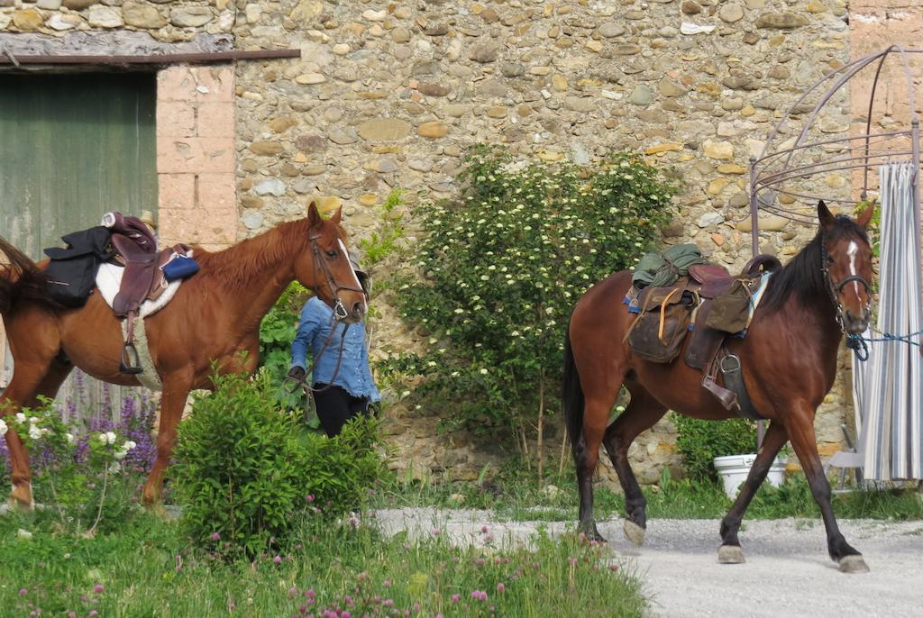 Les Gites D'Eliane Laragne Bagian luar foto