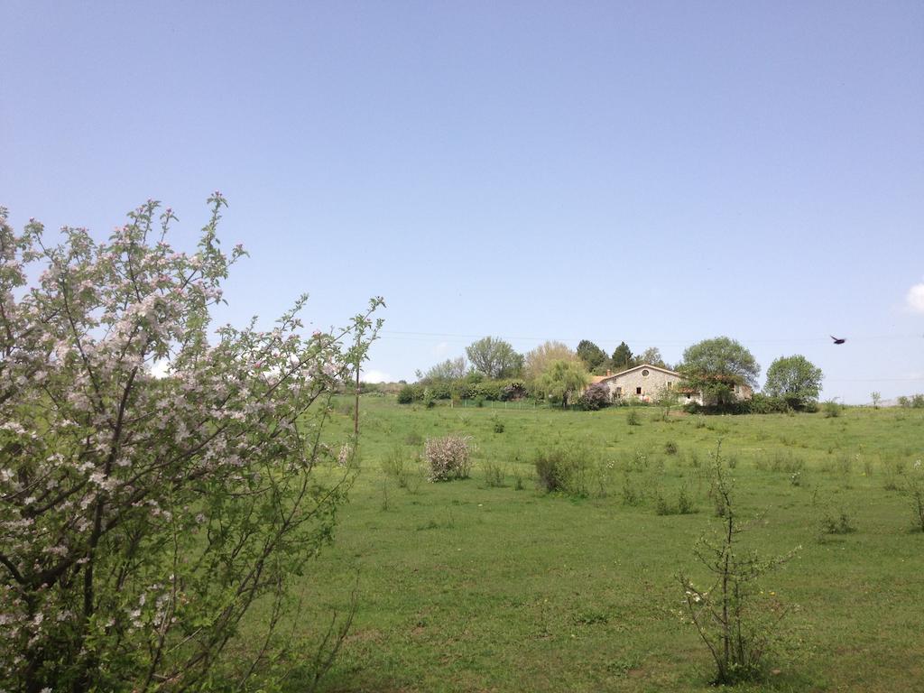 Les Gites D'Eliane Laragne Bagian luar foto